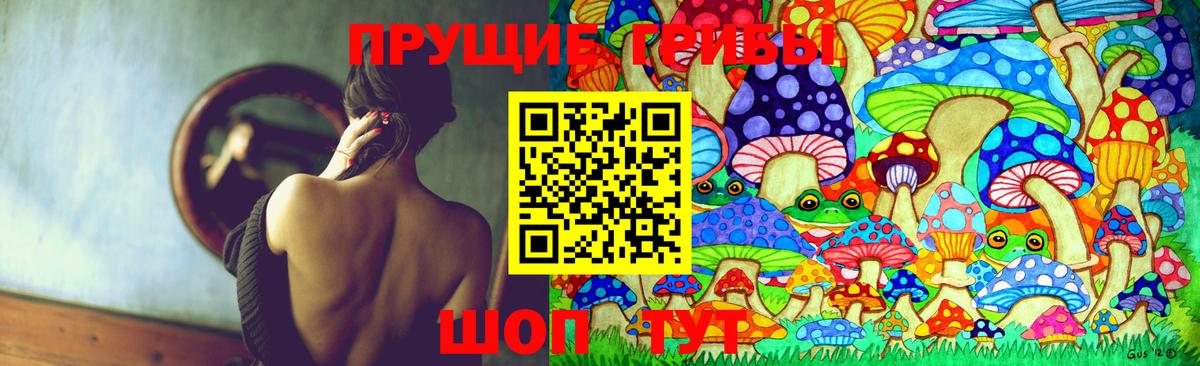 Баксан  Псилоцибиновые грибы GOLDEN TEACHER  Псилоцибиновые грибы Magic Shrooms  Вход с VPN 