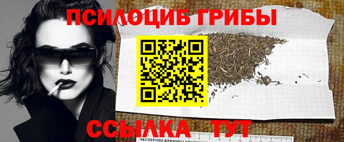 Галлюциногенные грибы Psilocybe Баксан